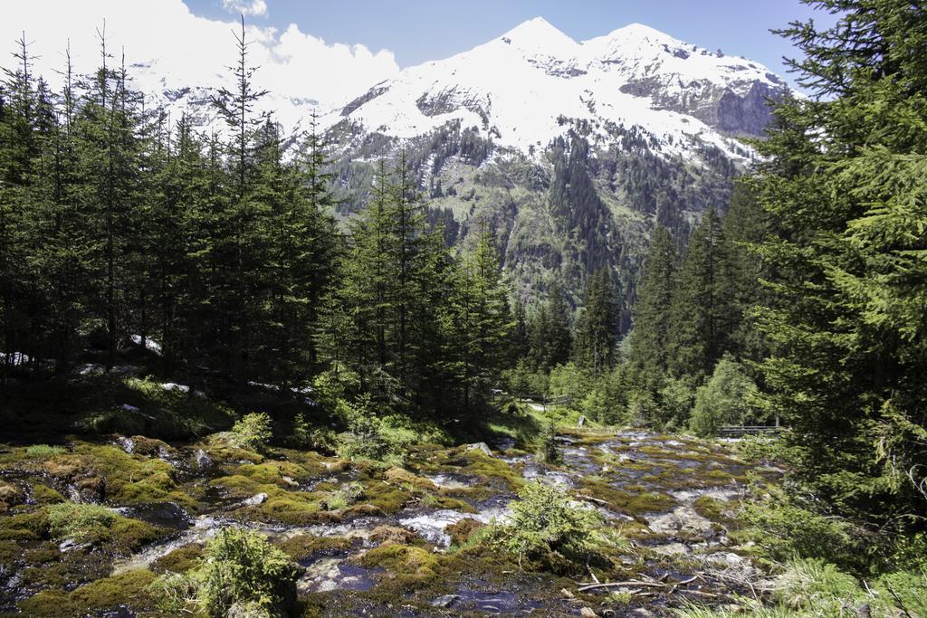 Gasthof Andrelwirt Rauris Luaran gambar